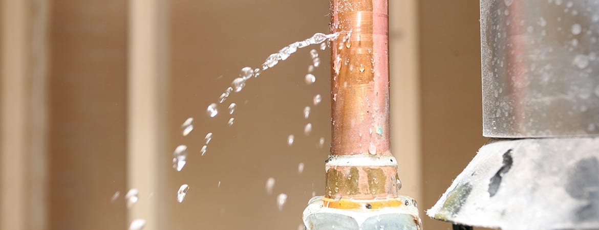 home-inspection-rect home-inspection-rect